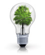 Illustration: Ecological concept Ecological concept