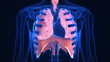 X-ray scanner of human lugs. Loop-ready