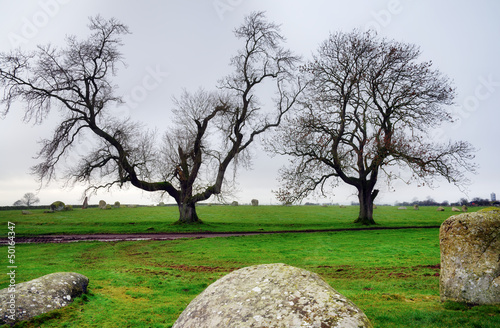 Photo: Two trees at Long Meg Stone Circle Two trees at Long Meg Stone Circle