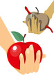 apple in  hand