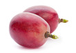 Grape berry closeup