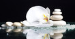 Spa stones with orchid flower