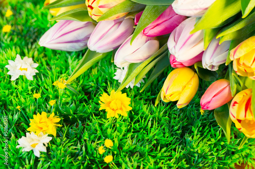 Photo: blumen auf der wiese blumen auf der wiese