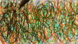 Paint with brown marker on paper lines in time-lapse