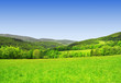 National park Sumava - Czech Republic