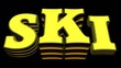 ski