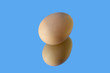Brown egg and its reflection