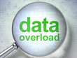 Information concept: optical glass with words Data Overload