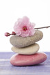 galets zen et branche en fleur