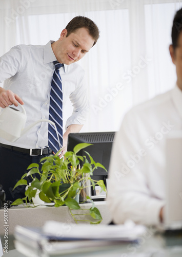 Photo: Caucasian businessman watering plant in office Caucasian businessman watering plant in office
