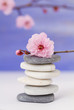 galets zen et branche en fleur