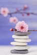 galets zen et branche en fleur