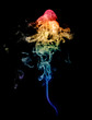 smoke