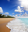 beach landscape