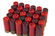 Hunting cartridges for shotgun