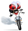 Illustration: coccinella biker coccinella biker