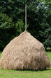 Spreewald Heuschober