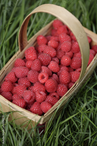Photo: Fresh, red raspberries in basket Fresh, red raspberries in basket