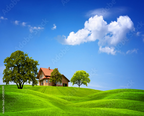 Photo: Green nature Green nature