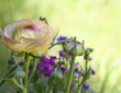 Spring background