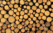 Brennholz
