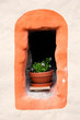 Foto: historische Blumen historische Blumen