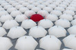 Red umbrella among other white umbrellas