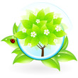 Green Tree