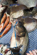 Fish Market in Istanbul