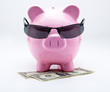 Tirelire avec lunettes de soleil sur billets US Dollars