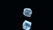 Video: Two ice cubes falling on black background Two ice cubes falling on black background