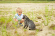 Cute boy playing with a cat