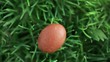 Chocolate easter eggs