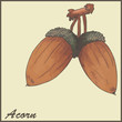 autumn vintage card with acorns