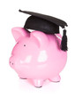 Piggybank wearing graduation hat