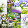Spring collage - Frühling Collage