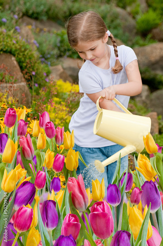 Photo: Spring garden - lovely girl watering flowers in the garden Spring garden - lovely girl watering flowers in the garden