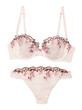bra and panties