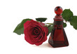 Red Rose and Rose Oil