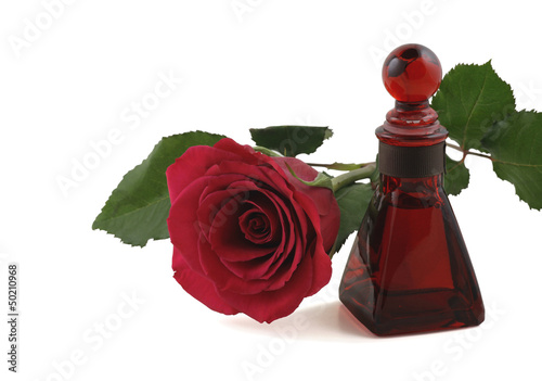 Photo: Red Rose and Rose Oil Red Rose and Rose Oil