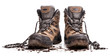 hiking shoes