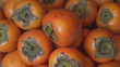 Verifying Orange Persimmons (Kaki)