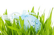 Easter egg in grass