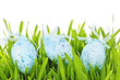 Easter eggs in green grass