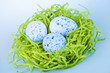 Easter eggs in nest