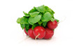 Radishes and leaves