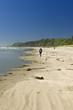Photo: Sandy beach in Pacific Rim National Park in Canada Sandy beach in Pacific Rim National Park in Canada