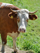 Foto: biorind biorind