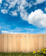 Fence and sky