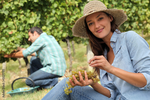Photo: Man and woman working in vineyards Man and woman working in vineyards